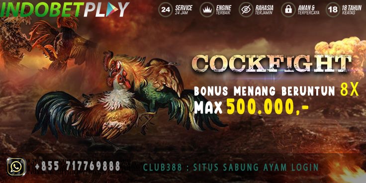 Club388 : Situs Sabung Ayam Login Bebas Blokir Terbaru 2023 | Indobetplay